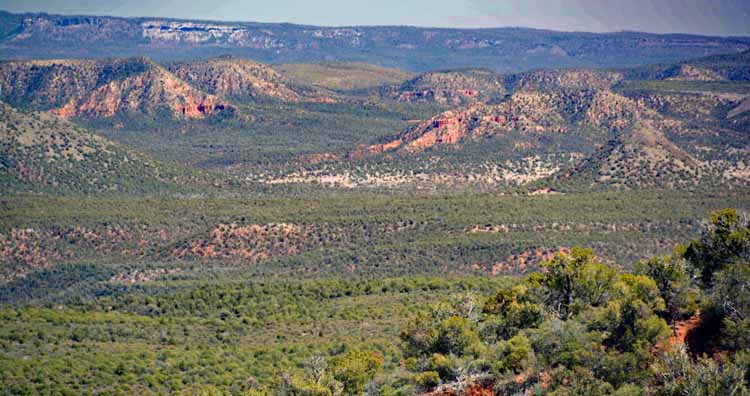 salt river canyon